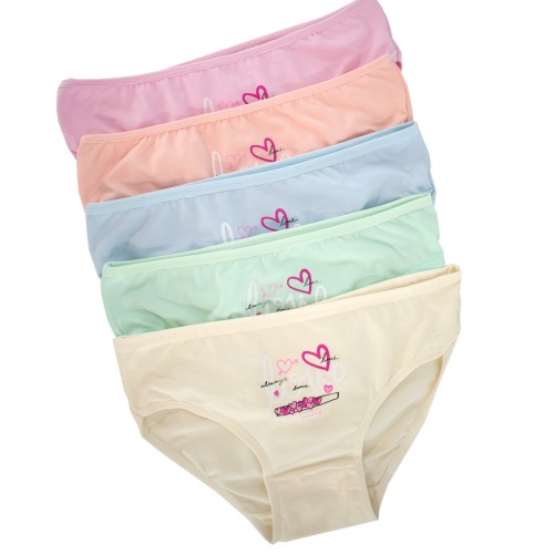 5 Pack βαμβακερά κοριτσίστικα κιλοτάκια LOVE multicolour
