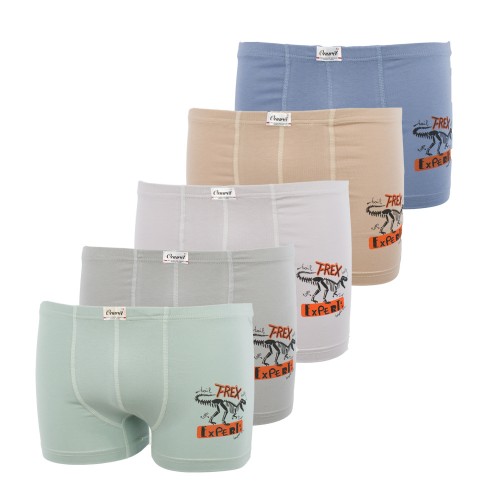 5 Pack αγορίστικα βαμβακερά boxer T-Rex multicolour